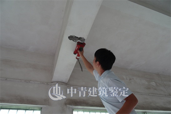 房屋安全鑒定建筑安全性成為熱門(mén)話題